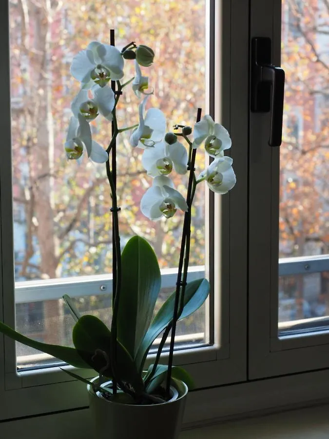 Apartment Casetta Safilu' Milan Italy